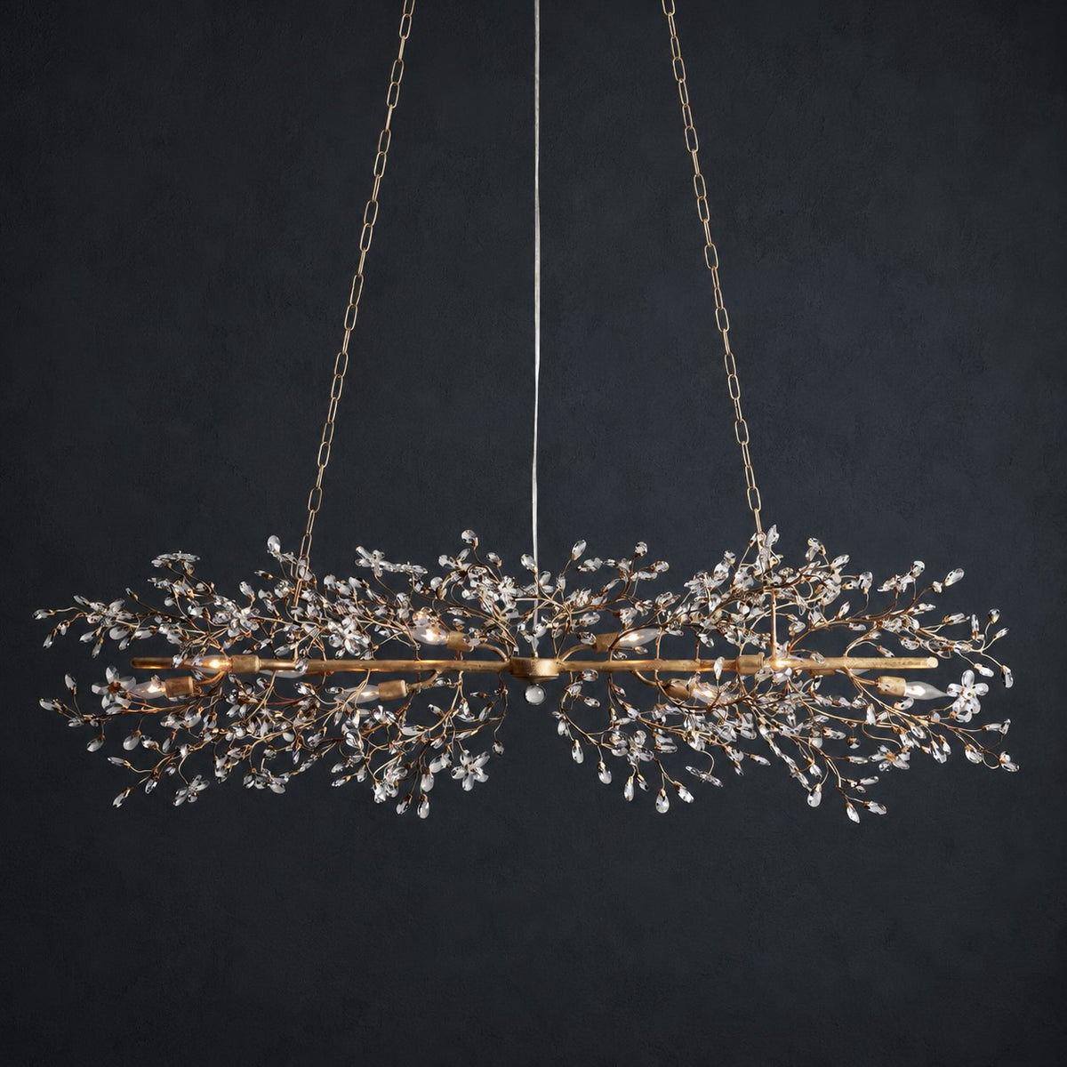 Modern Chandelier Light Hanging Metal and Glass Dimmable 8 Bulb Fixture Adjustable Length