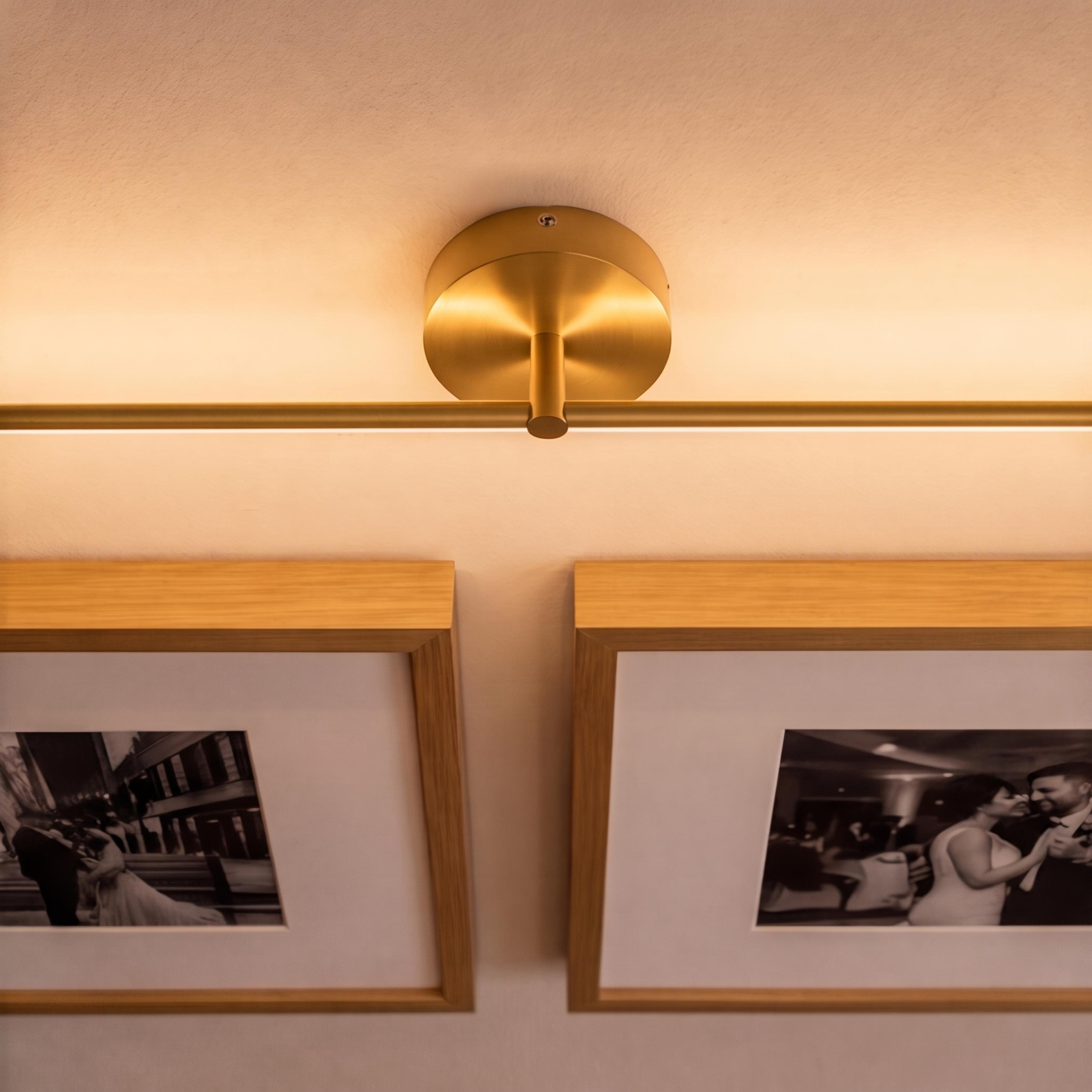 Modern Wall Sconce Light Adjustable Linear Metal LED with Warm and Cool Light Options