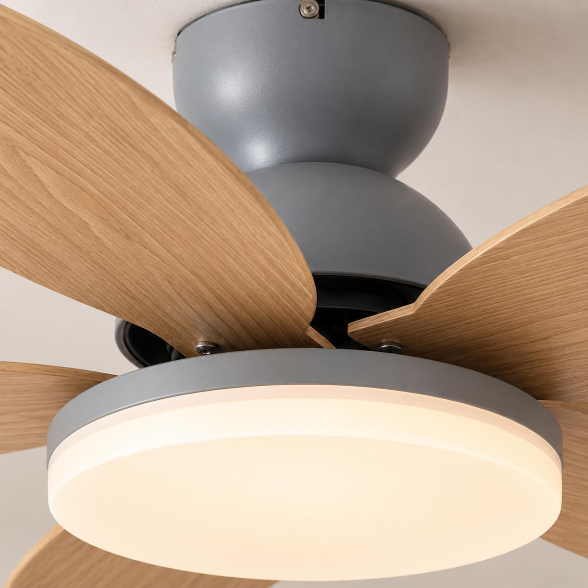 Modern Flush Mount Ceiling Fan with Lights Integrated LED Whisper-Quiet DC Motor