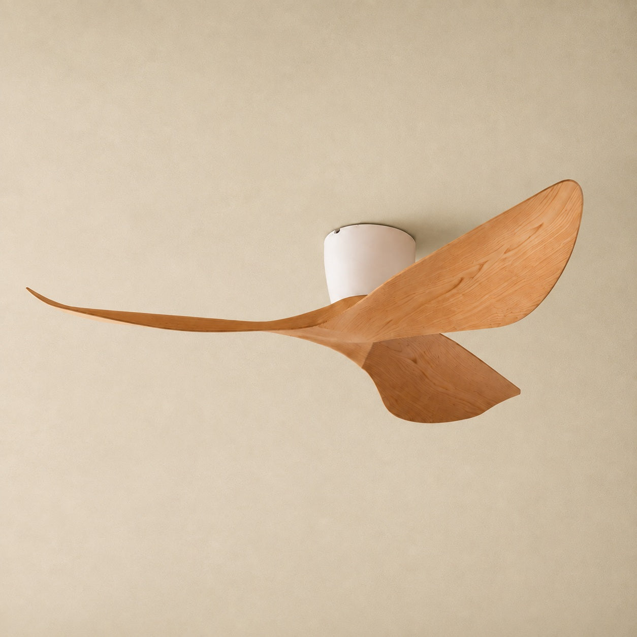 Modern Low Profile Ceiling Fan with Remote Control Energy Efficient DC Motor Quiet Operation
