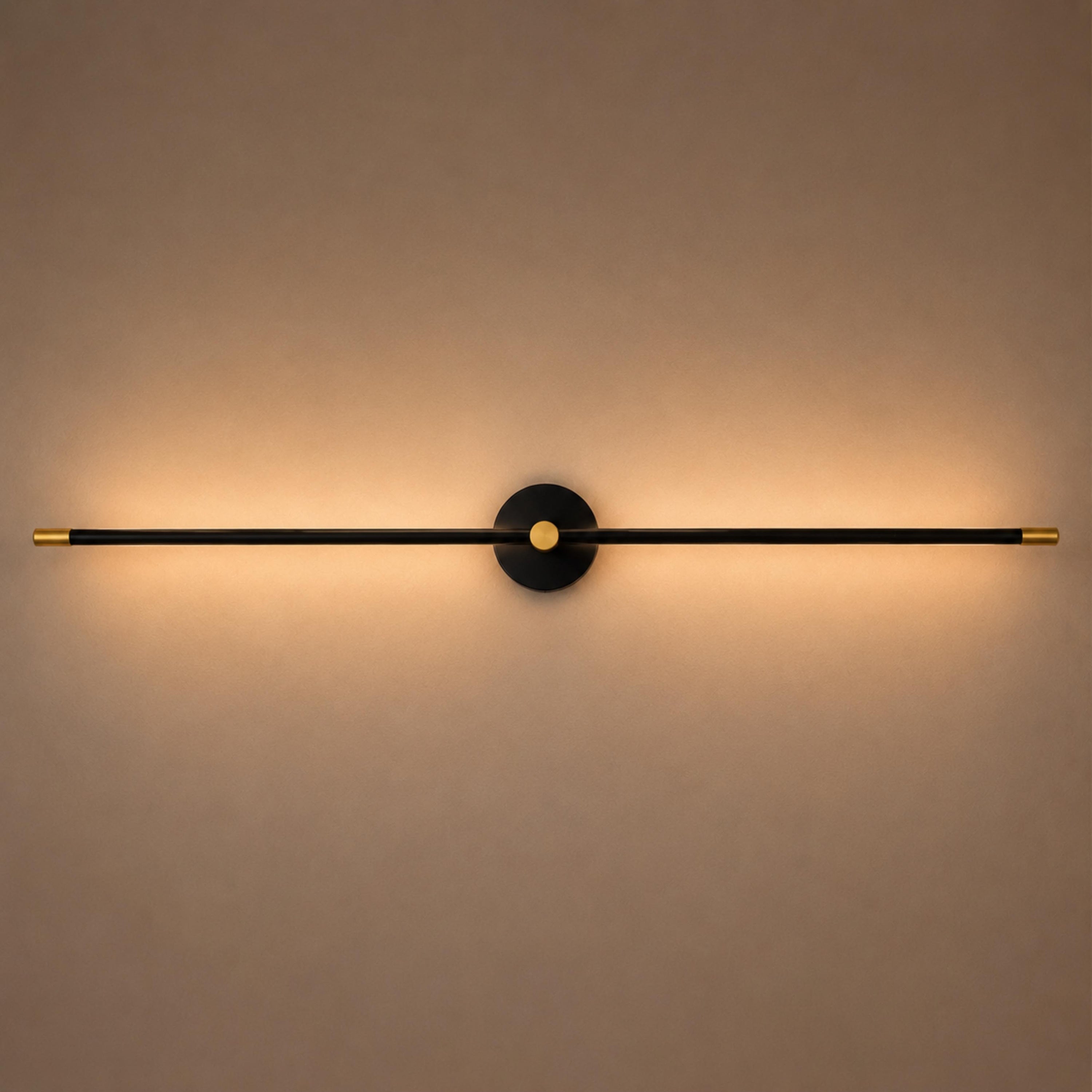Modern Wall Sconce Light Adjustable Linear Metal LED with Warm and Cool Light Options