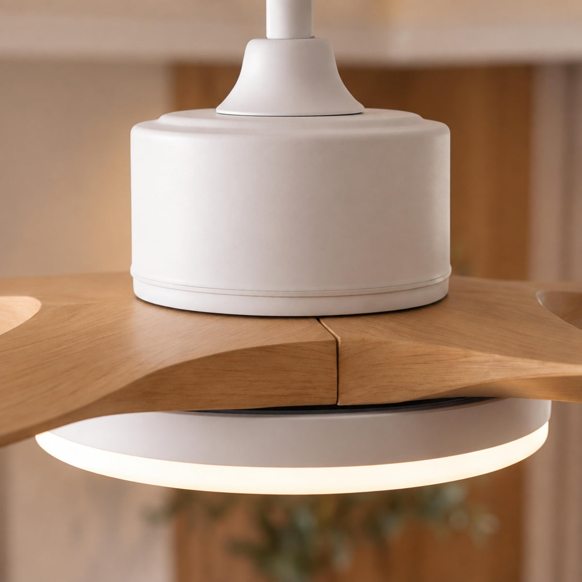 Modern Flush Mount Ceiling Fan with Lights 5-Blade Metal Adjustable LED Remote Control 48/52 Inch