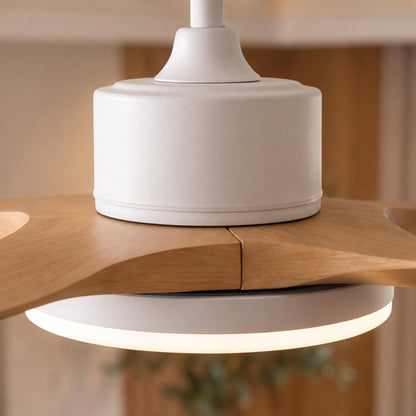 Modern Flush Mount Ceiling Fan with Lights 5-Blade Metal Adjustable LED Remote Control 48/52 Inch