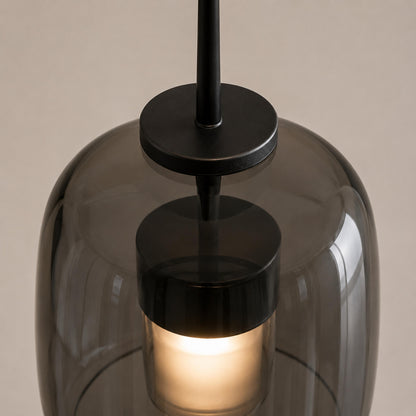 Modern Hanging Pendant Light Adjustable Black Iron Frame Hand-Blown Glass LED