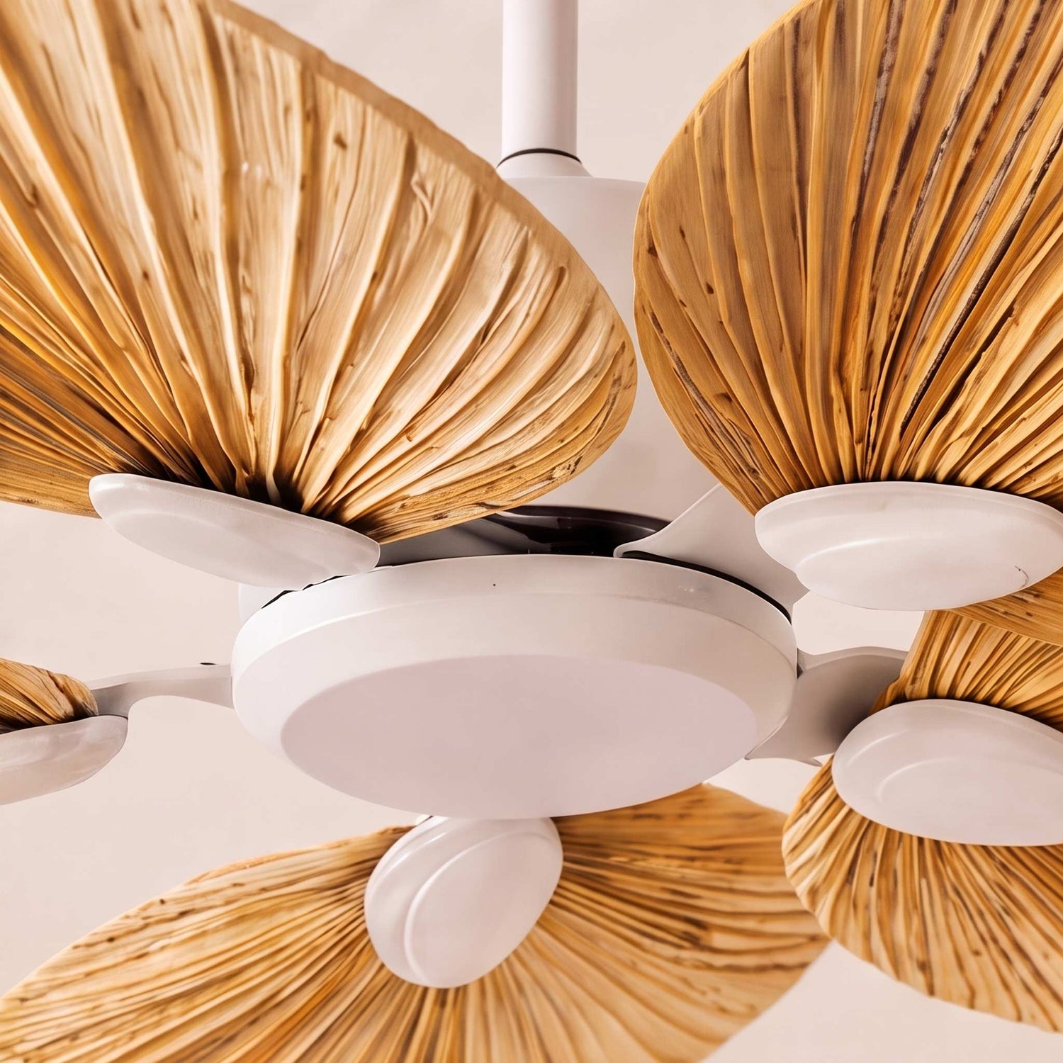 Modern Ceiling Fan with Palm Leaf Blades Iron Frame Remote Control Quiet Motor Reversible Airflow