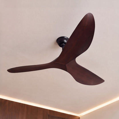 Modern Black Flush Mount Ceiling Fan with ABS Blades and 6-Speed DC Motor for Quiet Airflow