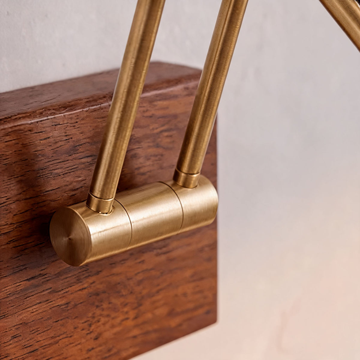 Modern Walnut Wall Light Adjustable LED Sconce Fixture with Brass and Acrylic Components