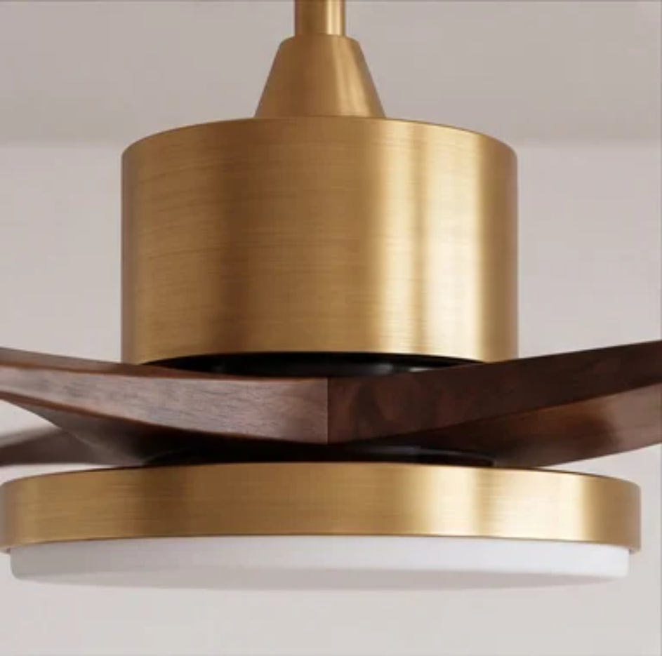 Modern Flush Mount Ceiling Fan with Integrated LED Lights Wooden Blades 6-Speed Control